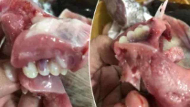 Öğle yemeği için aldığı balığın ağzını açtığında gördüklerine inanamadı! Dişleri şaşkına çevirdi... “Tıpkı insan gibi”