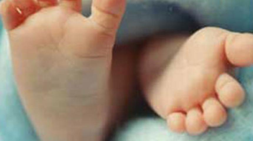 Topuk kanının uzun yolculuğu