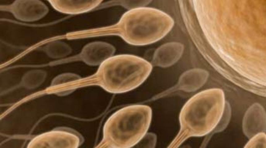 Sperm sayısı 120 milyondan 15 milyona d&uuml;şt&uuml;