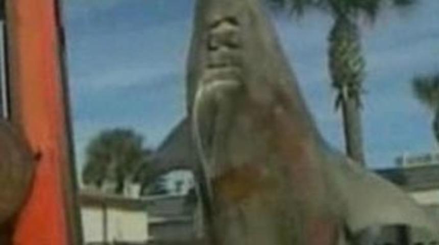 Florida canavarı yakalandı!