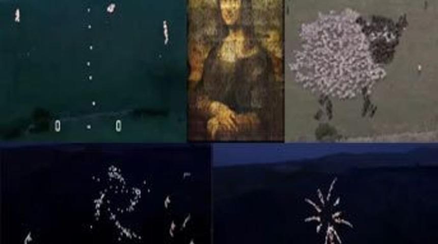 Bunları koyunlar yaptı!