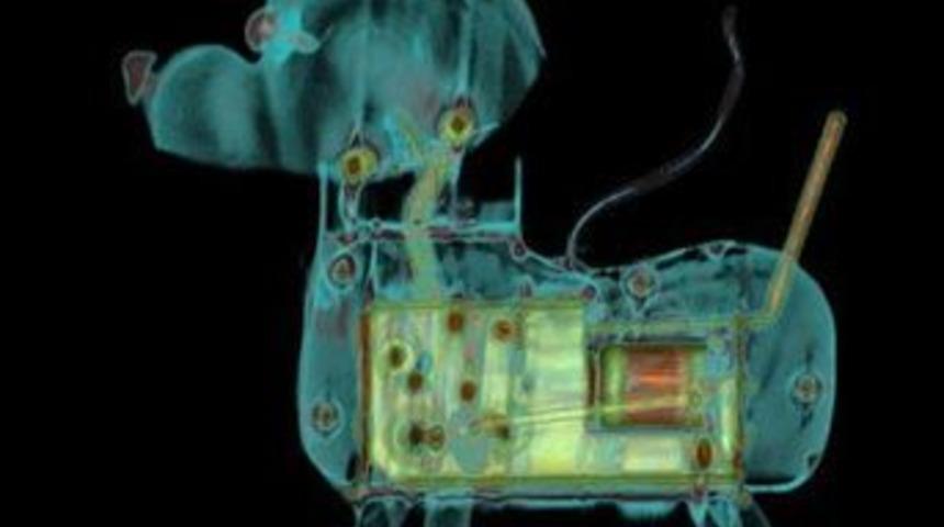 Sanatın r&ouml;ntgenini &ccedil;ekiyor