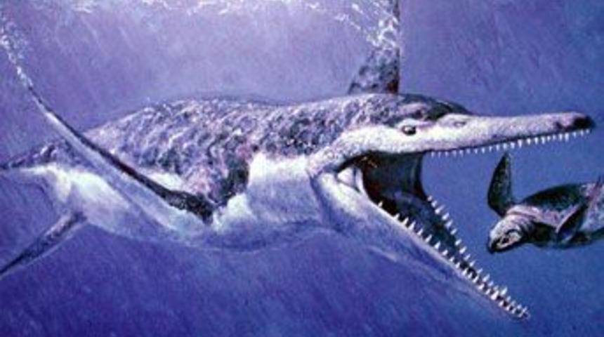 Okyanusların en korkun&ccedil; canavarı