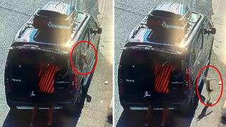 Böylesi görülmedi... Kısırlaştırılmaya götürülen kedinin yaptığı şaşkına çevirdi! 'İnsan bile yapamaz'