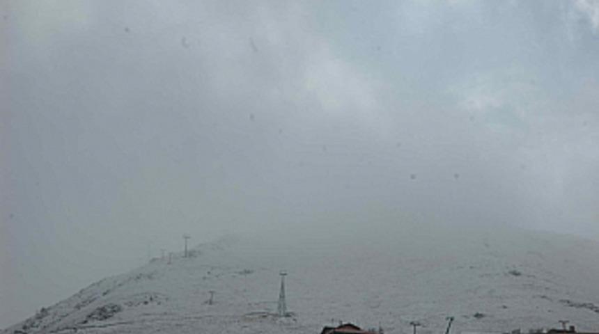 Paland&ouml;ken beyaza b&uuml;r&uuml;nd&uuml; 