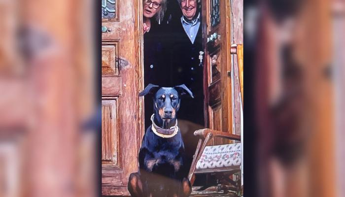 SON DAKİKA | Korhan Berzeg’ten günlerdir haber alınamıyor! Köpeği Tina 74 gün sonra eve döndü: ‘Zayıflamıştı, bitkin haldeydi’