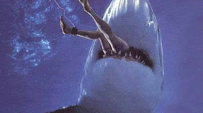 Doğanın en &ouml;l&uuml;mc&uuml;l hayvanlarından nasıl kurtulursunuz?