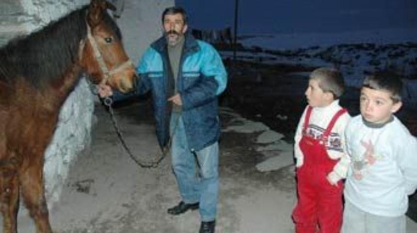 At hırsızlığı DNA testiyle &ccedil;&ouml;z&uuml;lecek