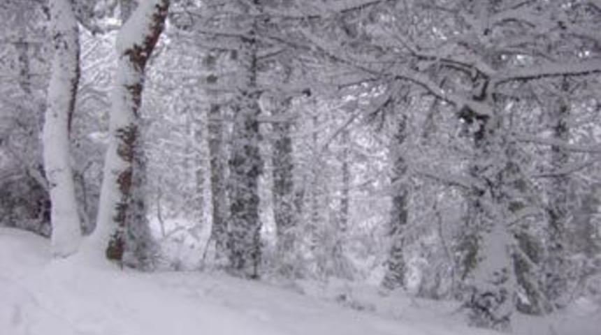 İnanılmaz fedakarlık hikayesi