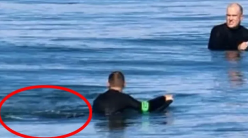 Ölümle burun buruna gelmeden saniyeler önce çekildi! Yavaş yavaş yanına böyle yaklaşmış 