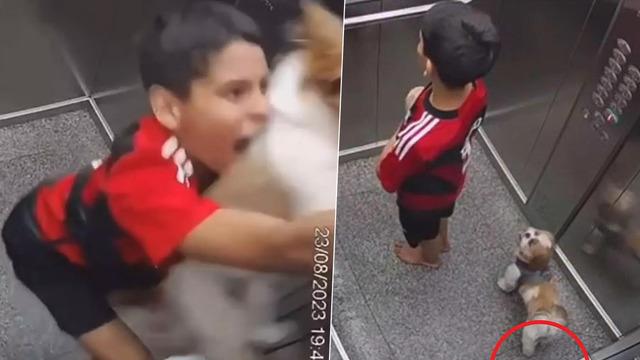 Daha 11 yaşında! Tasması asansör kapısına sıkışan köpeğini boğulmaktan kurtardı... O anlar gündem yarattı