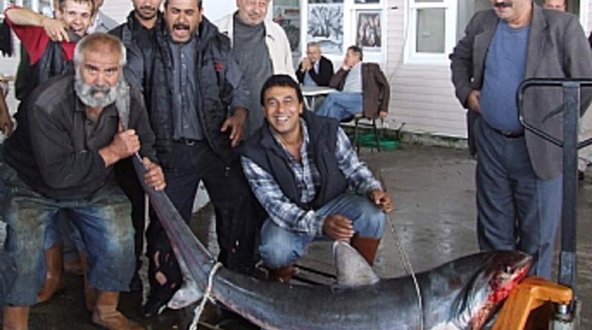 Marmara'da k&ouml;pekbalığı yakalandı 