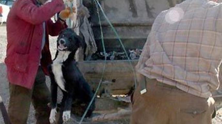 Van'da belediye vahşeti