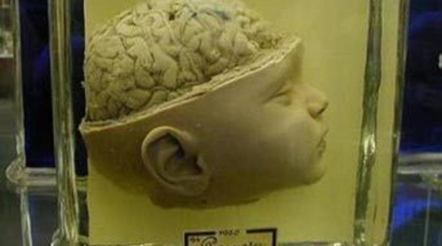 D&uuml;nyanın en korkun&ccedil; m&uuml;zesi