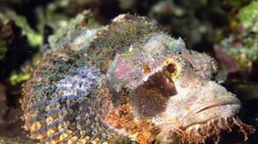 Sizi sadece birka&ccedil; dakikada &ouml;ld&uuml;rebilir!