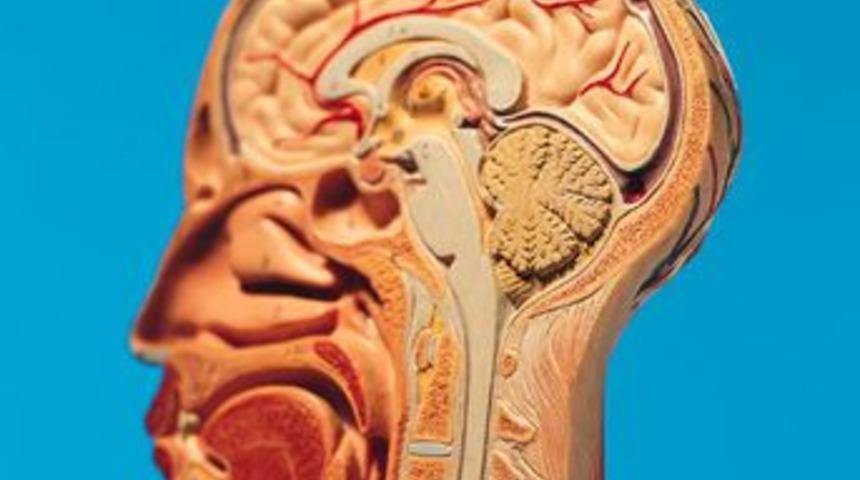 Beyin t&uuml;m&ouml;r&uuml;ne ameliyatsız &ccedil;&ouml;z&uuml;m