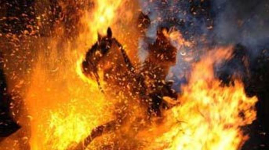 Hayvanseverleri &ccedil;ıldırtan fotoğraf