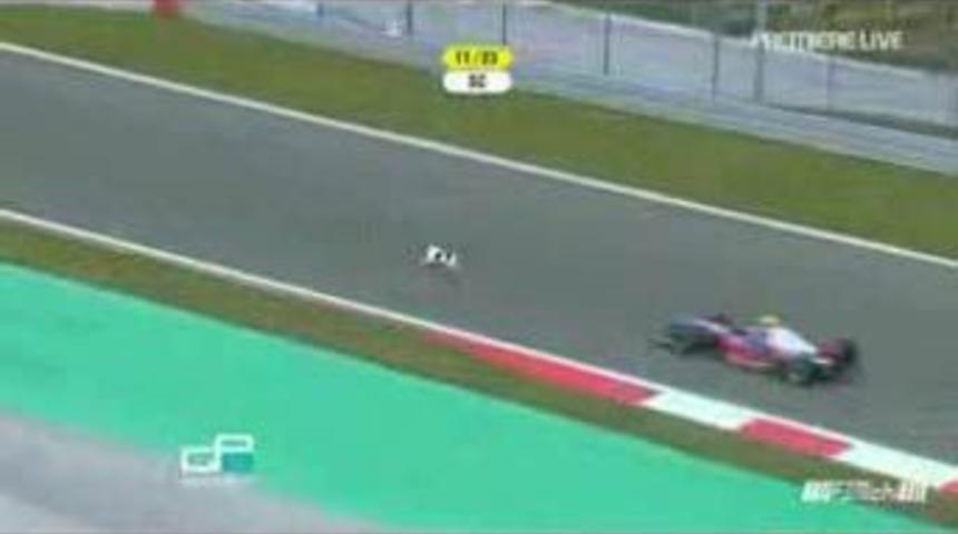 Piste giren k&ouml;pekler pilotları kızdırdı