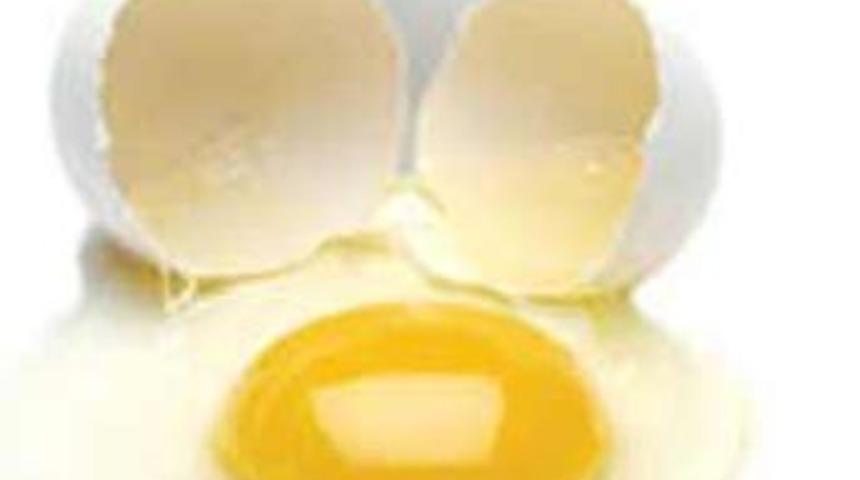 Yumurta bir kez daha aklandı