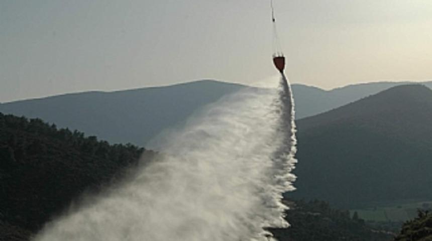 Türkiye ormanları Ukraynalı pilotlara emanet