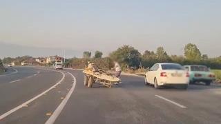 Önce tekeri sonra sahibini bıraktı! Ürken atın o anları kameraya böyle yansıdı