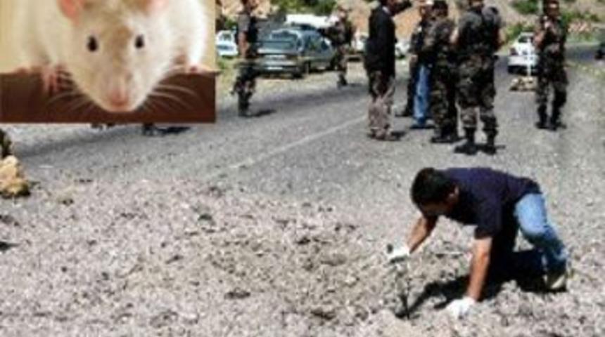 Mayın imhasında ilgin&ccedil; y&ouml;ntem