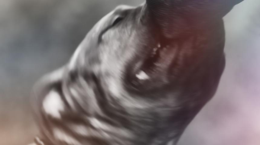 3 yaşındaki çocuğa pitbull saldırdı! Kolu kopan çocuk hastaneye kaldırıldı... Durumu kritik