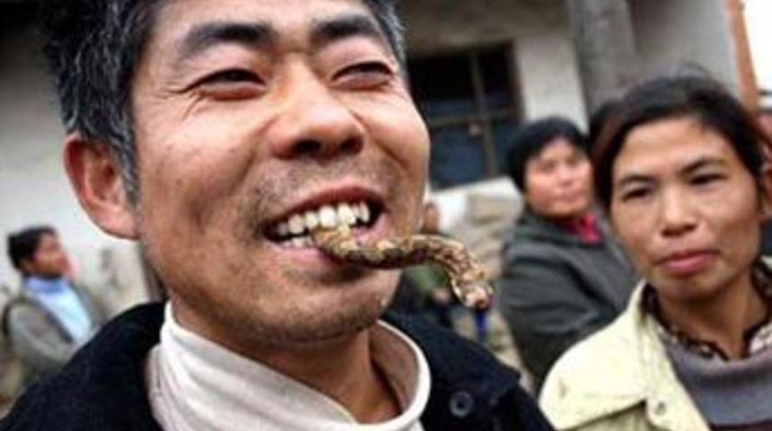 Canlı yılanla besleniyor