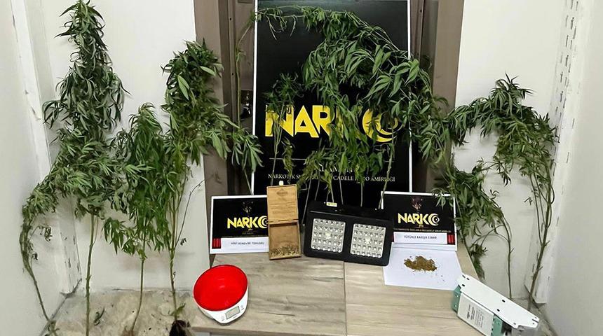 Evde uyuşturucu yetiştiren karı-koca önce gözaltına alındı, sonra serbest bırakıldı