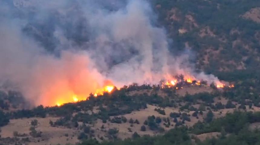 Çorum'da orman yangını! Ekipler sevk edildi