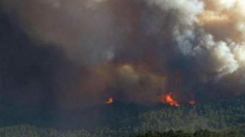 &Ccedil;anakkale'deki orman yangını