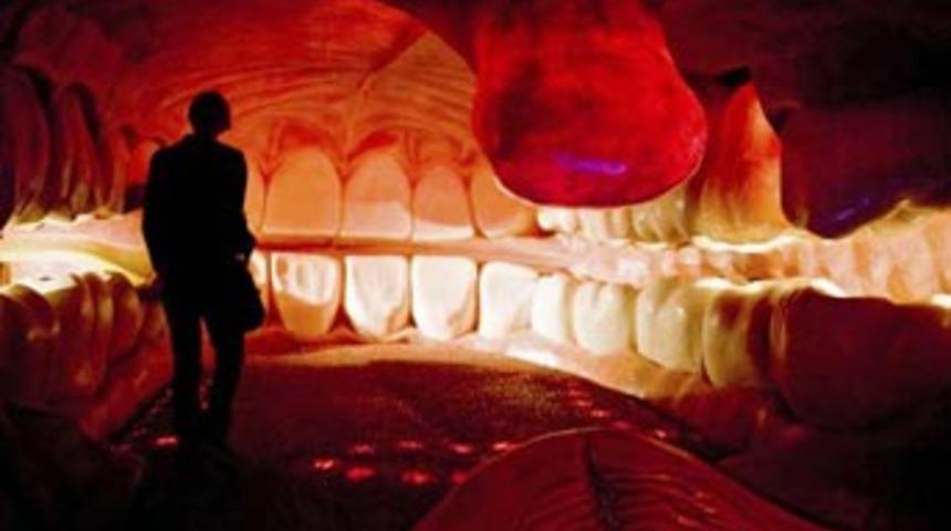 İnsan v&uuml;cudunda adım adım yolculuk