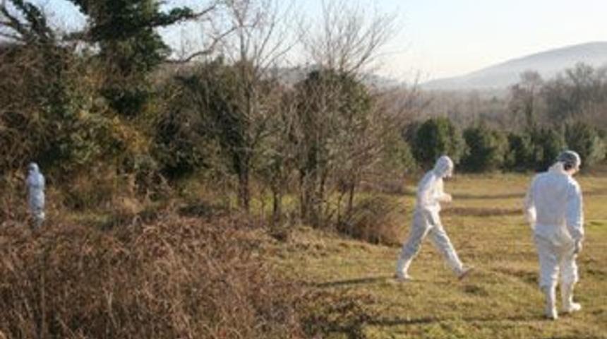 Tavuk ka&ccedil;tı, ekipler kovaladı