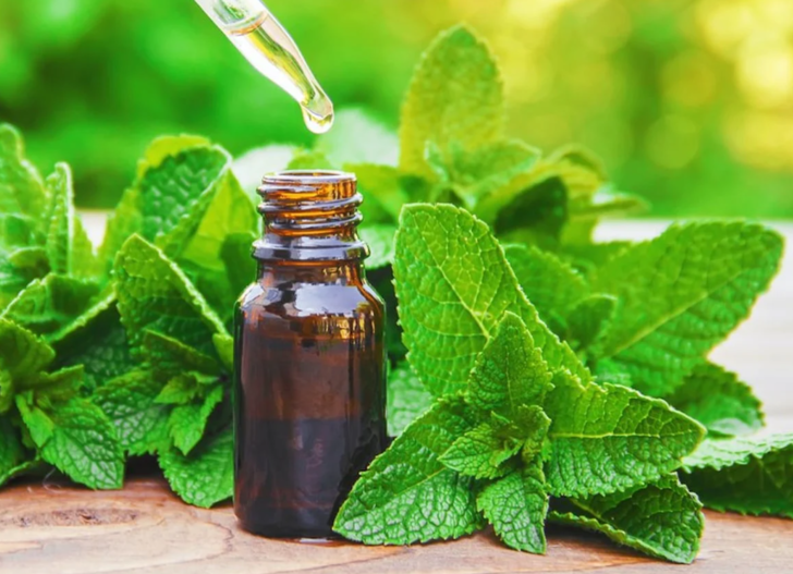 1 damlası geçmeyen baş ağrısını bıçak gibi kesiyor! Ağrı kesicileri çöpe attıracak yöntem: Migrenin doğal ilacı buymuş G2