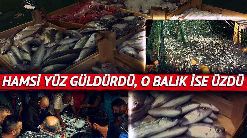 Bu sezonun yıldızı hamsi olacak! İlk mezatta palamut bekleyenleri üzecek sözler... "Fiyatlar piyasanın bayağı altında"