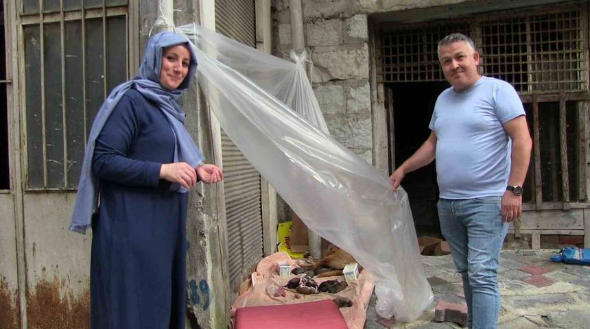 Sokak köpeği ve 12 yavrusuna esnaf sahip çıktı