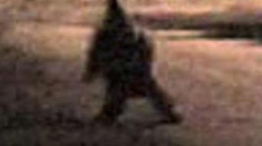 Bu hayalet g&ouml;r&uuml;nt&uuml;leri ger&ccedil;ek mi?