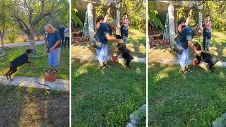 74 gün sonra evine dönmüştü... Duygulandıran görüntüler! Korhan Berzeg'in köpeği Tina, Angela Berzeg ile buluştu