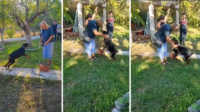 74 gün sonra evine dönmüştü... Duygulandıran görüntüler! Korhan Berzeg'in köpeği Tina, Angela Berzeg ile buluştu