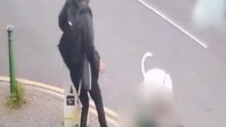 Dehşet anları saniye saniye güvenlik kamerasına yansıdı! Bir anda koşarak 76 yaşındaki kadına ve köpeğine saldırdı