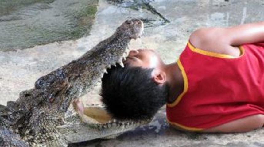 Timsahlarla nefes kesen g&ouml;steri