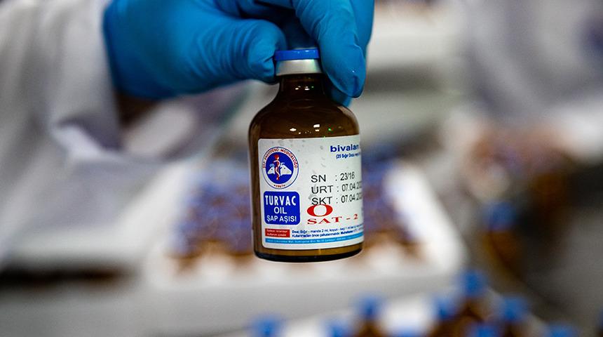 30 milyon doz aşı! Bakanlık son rakamları duyurdu: Şap hastalığına karşı milyonlarca hayvan aşılandı