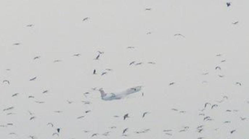 U&ccedil;ak trafiğine leylek d&uuml;zenlemesi