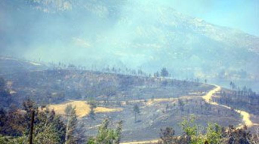 Birka&ccedil; saatte yandı 60 yılda yenilenecek