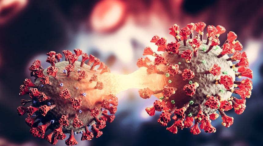 Bilim Kurulu Üyesinden 'Pirola' uyarısı! O ihtimale dikkat çekti