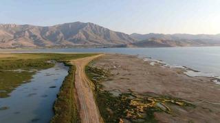 Prof. Dr. Aslan: “Van Gölü’nün sulak alanları yok oluyor”