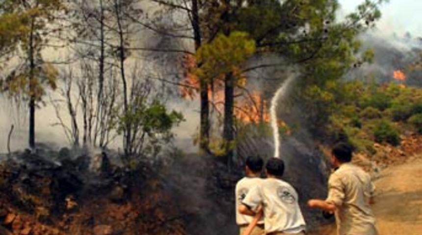 Balıkesir'de orman yangını