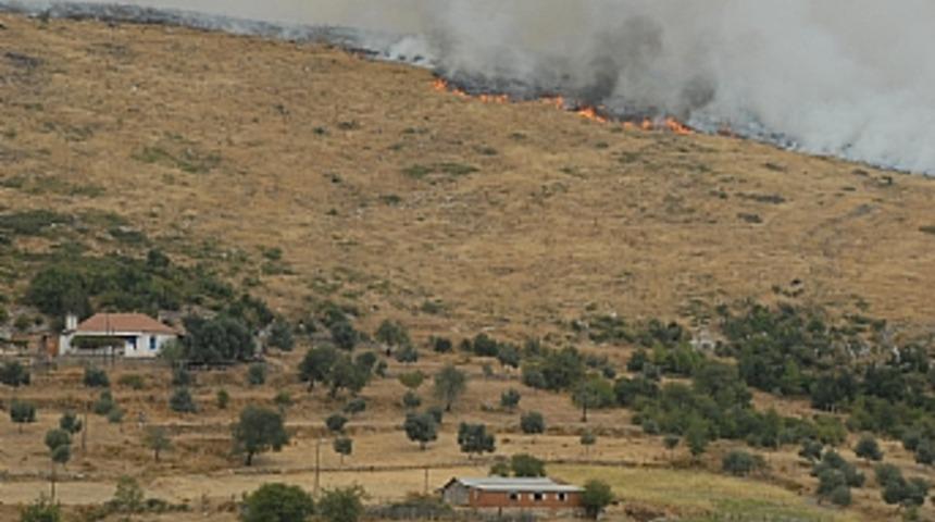 Milas'taki yangın kontrol altına alındı