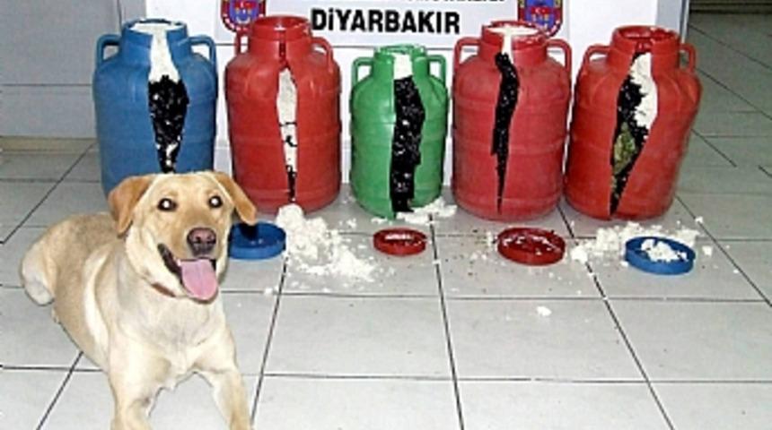 Peynir bidonunda esrar