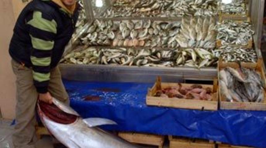 100 kiloluk orkinosu oltayla avladı